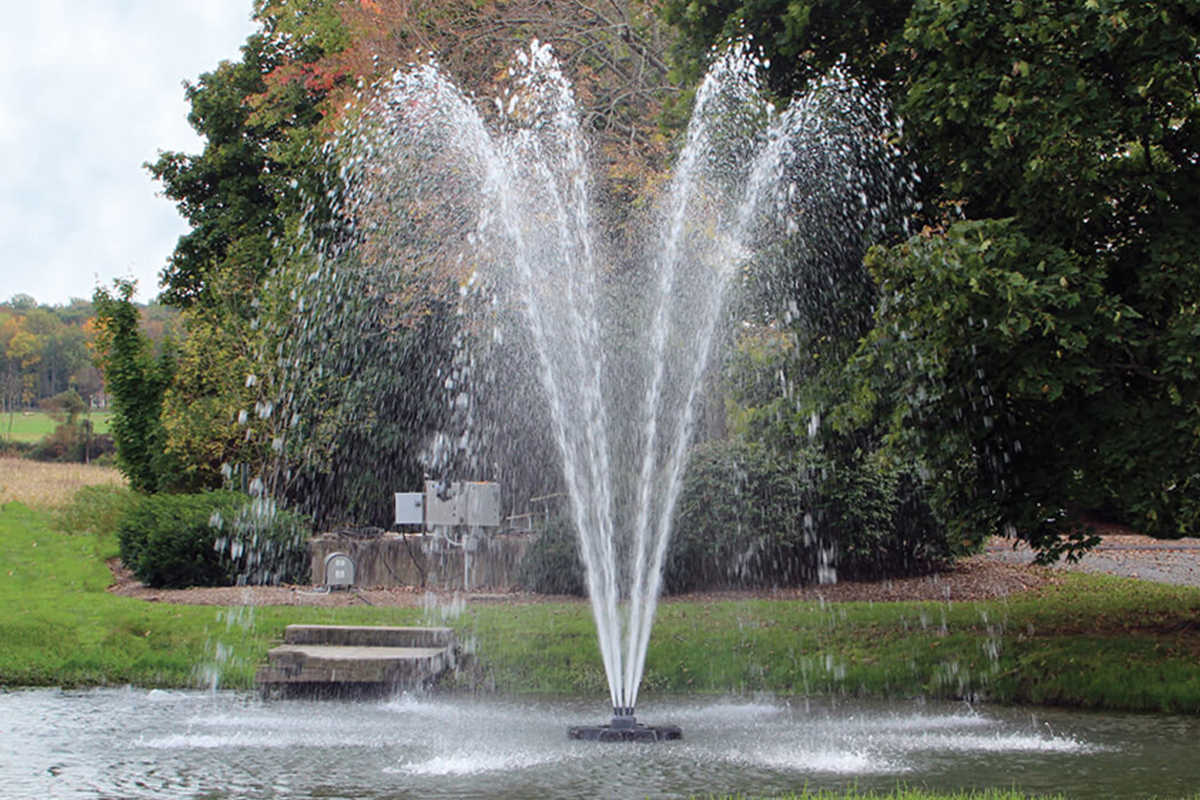 Omega Floating Lake Fountains