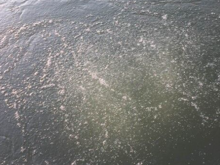 1000M Lake Diffuser System