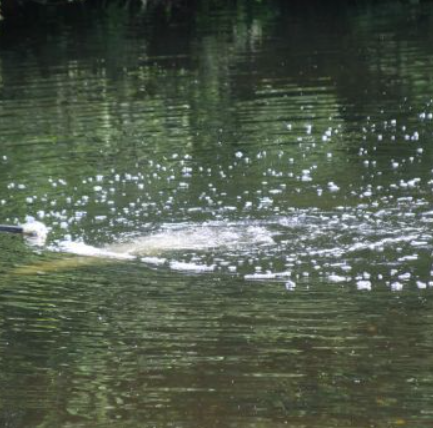 2HP Sub Surface Horizontal Aspirator