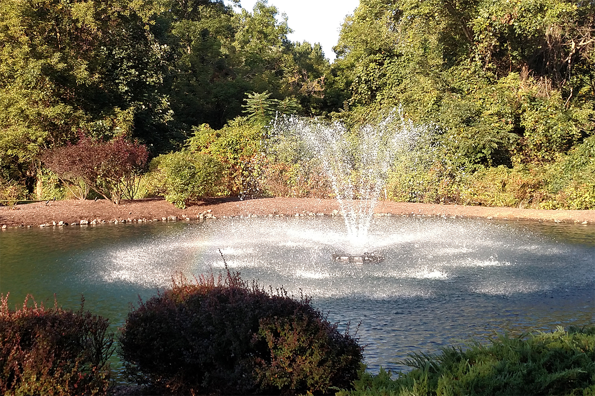 Constellation Floating Lake Fountains
