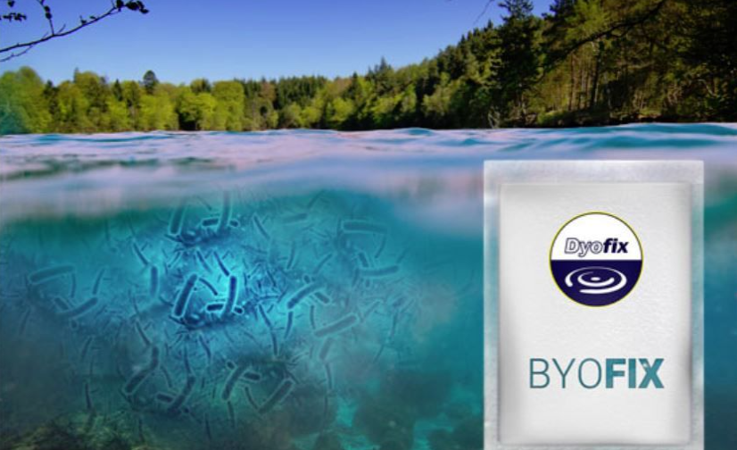 ByoFix Lake Bacteria - 1Kg