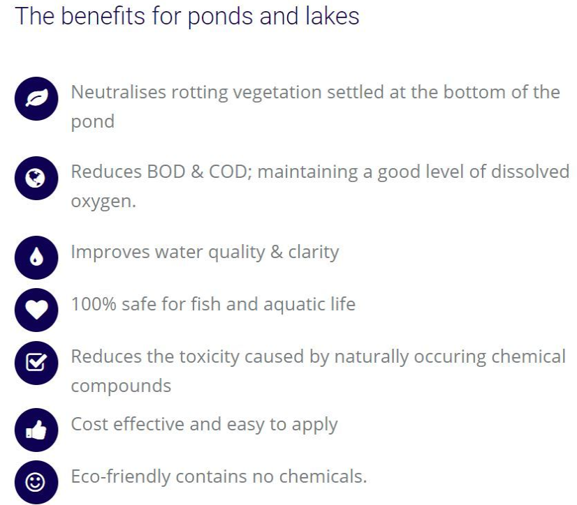 ByoFix Lake Bacteria - 1Kg