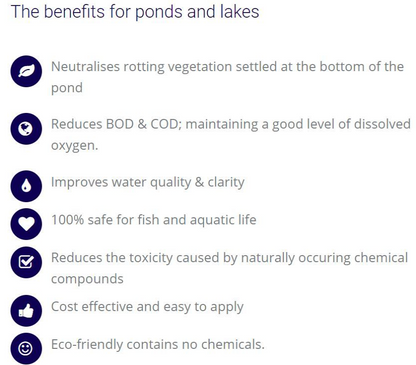 ByoFix Lake Bacteria - 1Kg