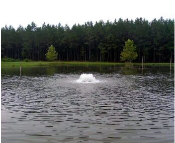 3/4 HP Floating Lake Aerator